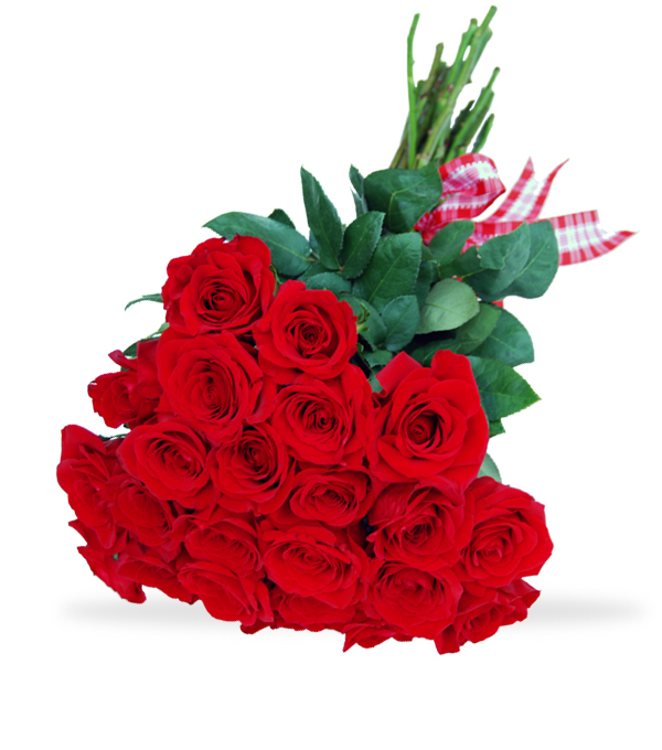 Bright Red Love by Sun Flower Gallery in Glenview, Il