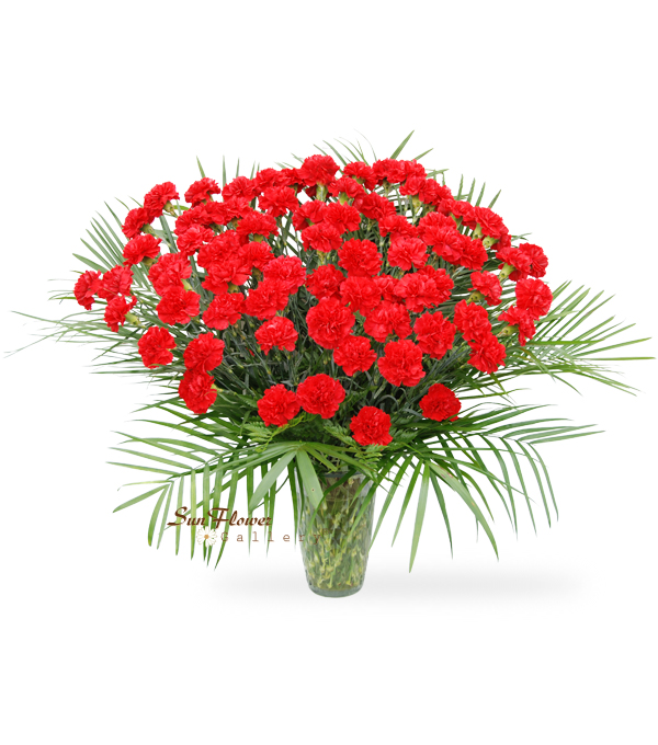 75 Red Carnation Vase