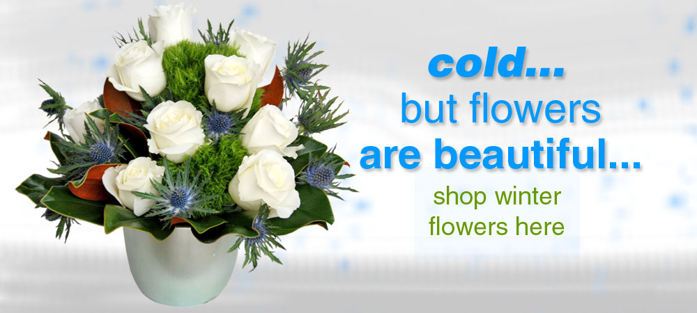 Winter flowers